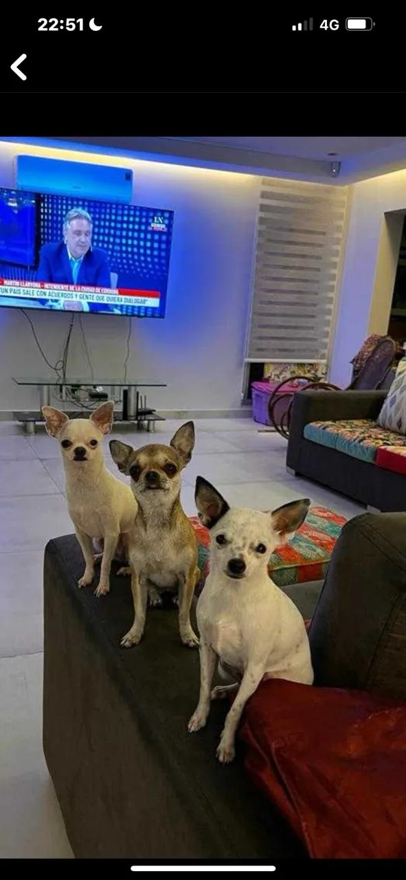 Foto de Pinki, Nina y Lara en Comunidad Diamante